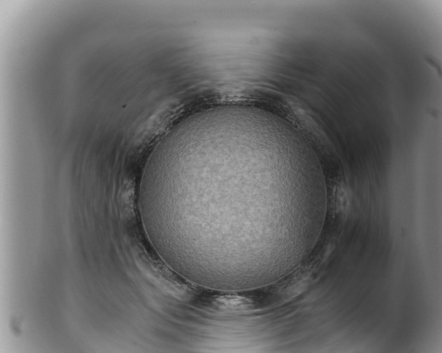 X0000102240557200808011251