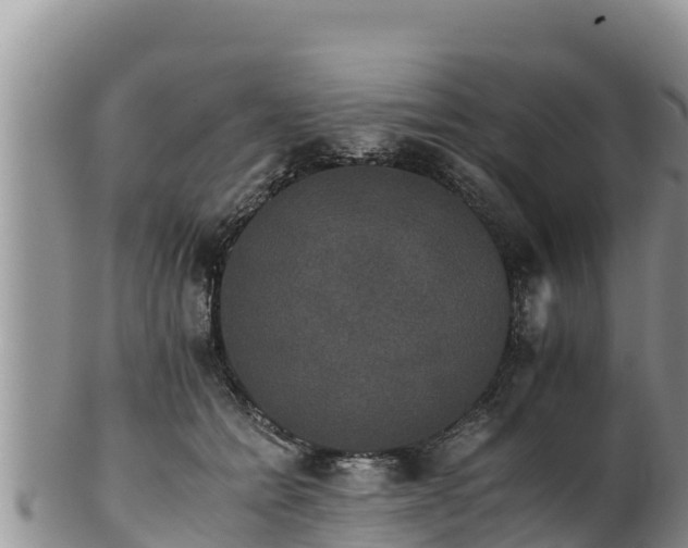 X0000102240558200808011251