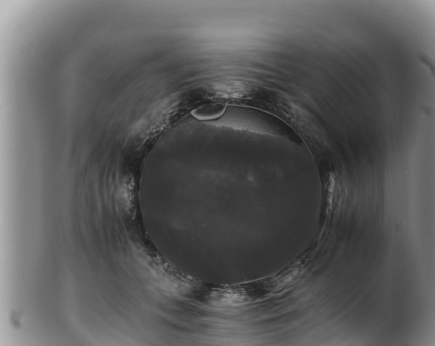 X0000102240559200808011251