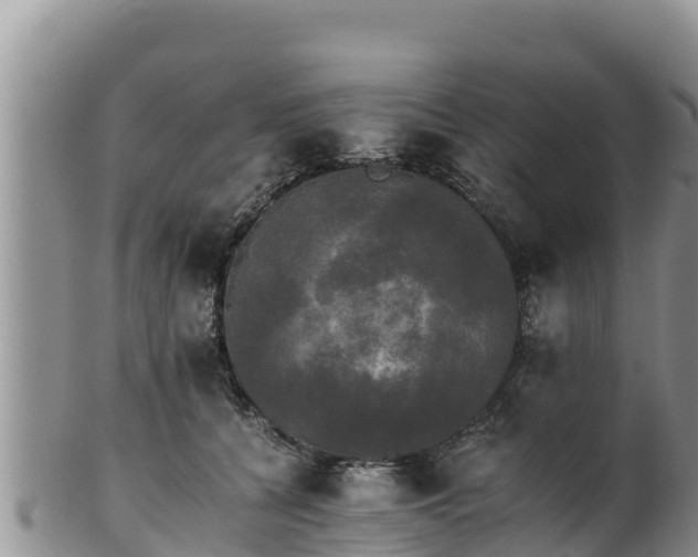 X0000102240560200808011251