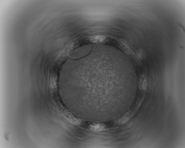 X0000102240561200808011251