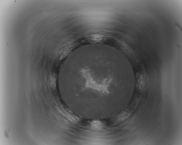 X0000102240562200808011251