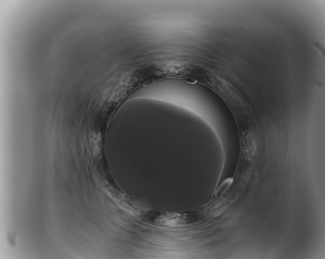 X0000102240563200808011251