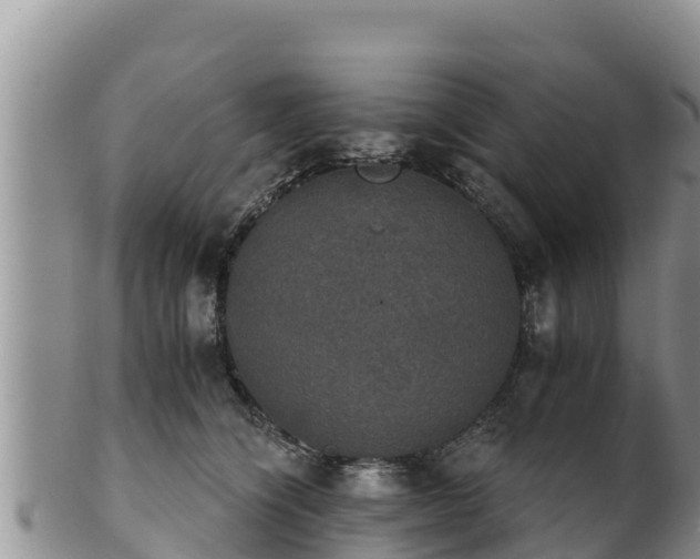 X0000102240564200808011251