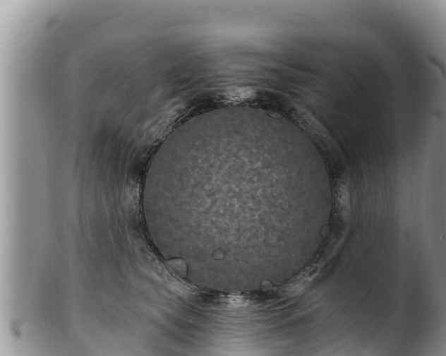 X0000102240565200808011251