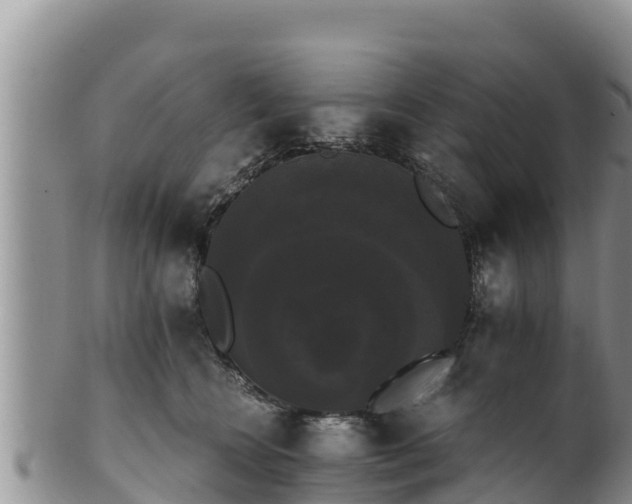 X0000102240566200808011251