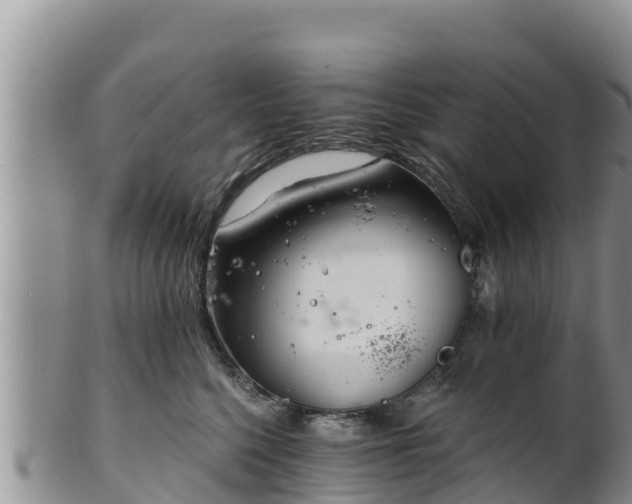 X0000102240568200808011251