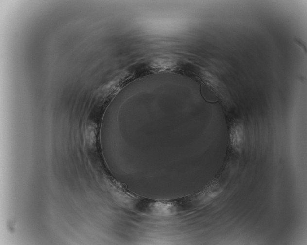 X0000102240570200808011251