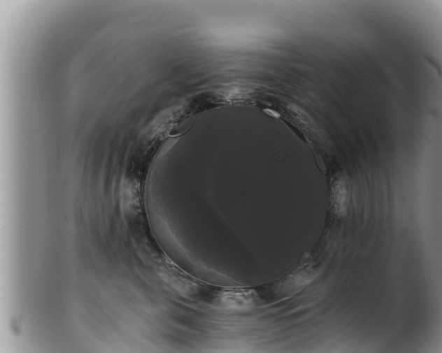 X0000102240571200808011251