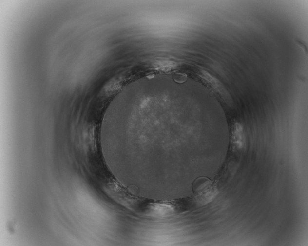 X0000102240572200808011251