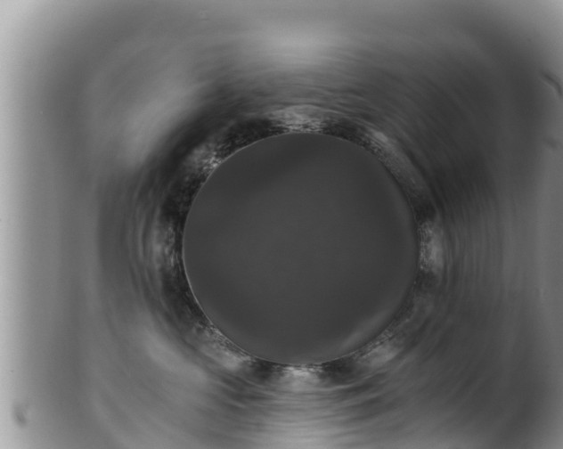 X0000102240573200808011251