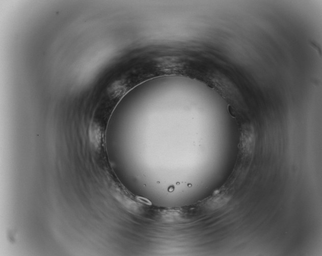 X0000102240574200808011251