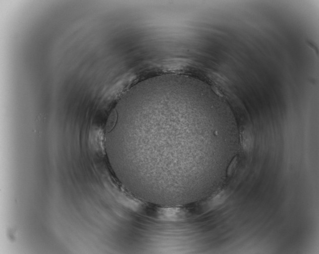 X0000102240575200808011251