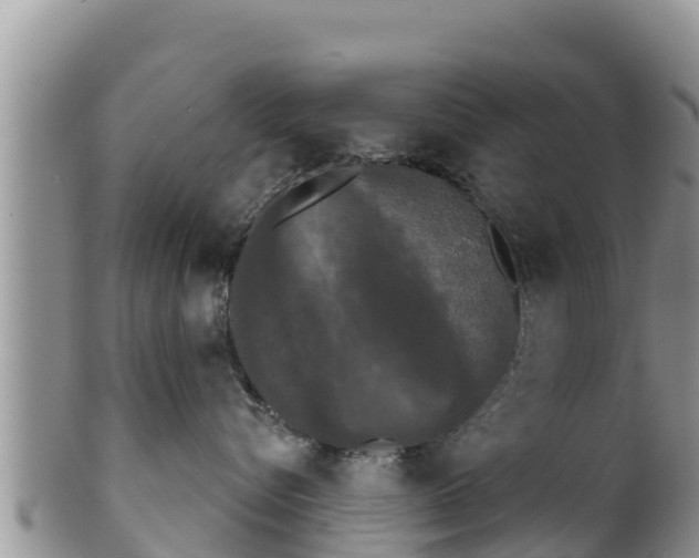 X0000102240576200808011251