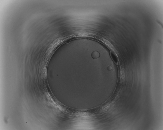 X0000102240577200808011250