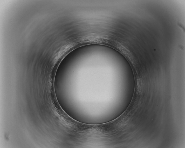 X0000102240578200808011250