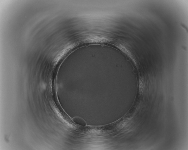 X0000102240581200808011250