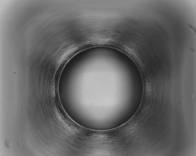 X0000102240582200808011250