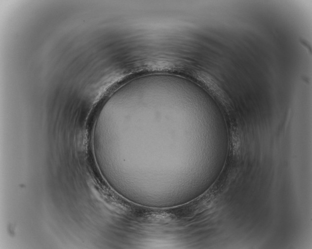 X0000102240583200808011250