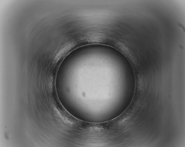 X0000102240586200808011250