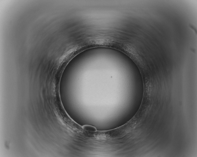 X0000102240587200808011250