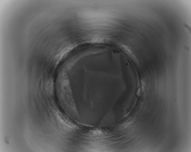 X0000102240588200808011250