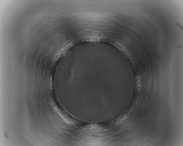 X0000102240589200808011250