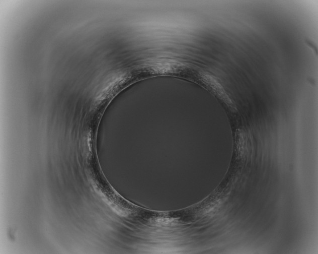 X0000102240590200808011250