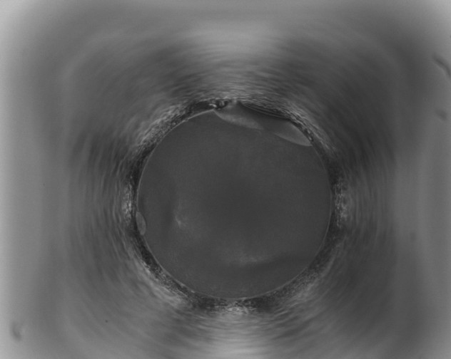 X0000102240593200808011250