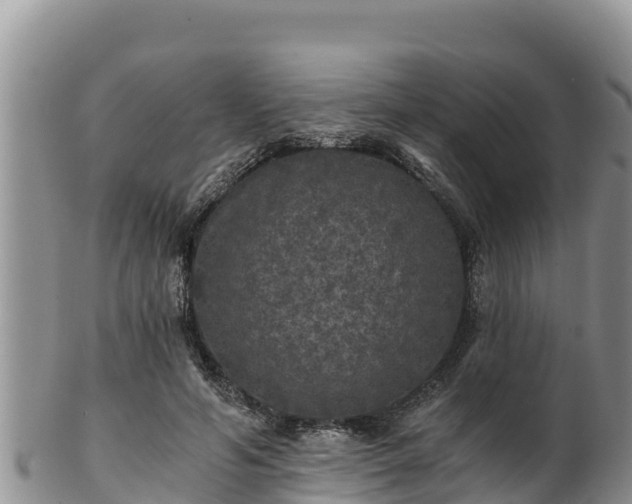 X0000102240594200808011250