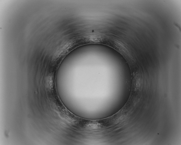 X0000102240595200808011250