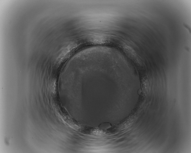 X0000102240596200808011250