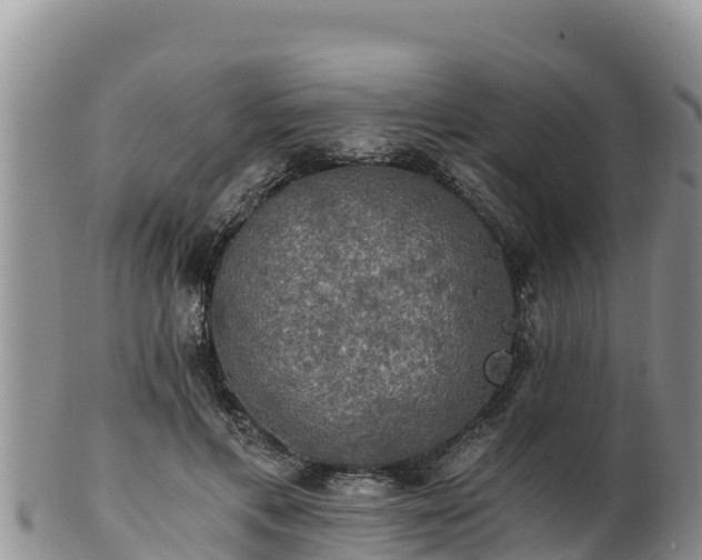 X0000102240597200808011250