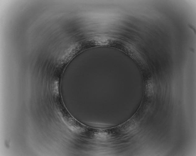 X0000102240598200808011250