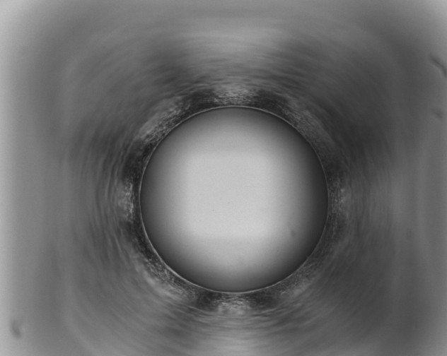 X0000102240599200808011250