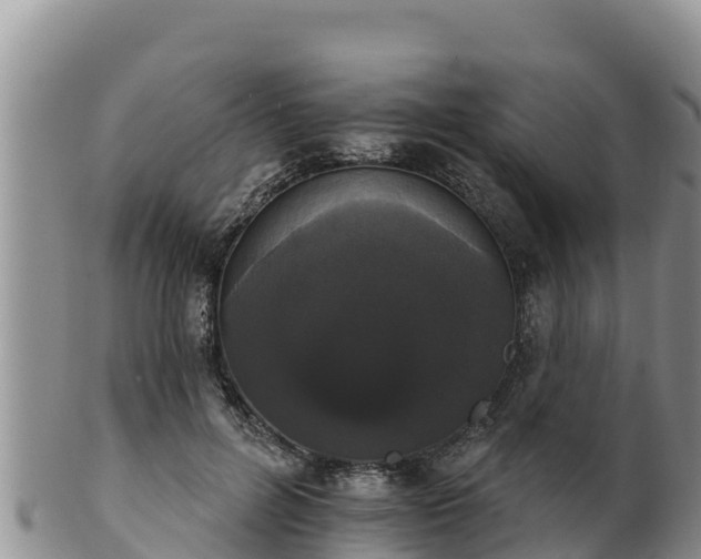 X0000102240600200808011250