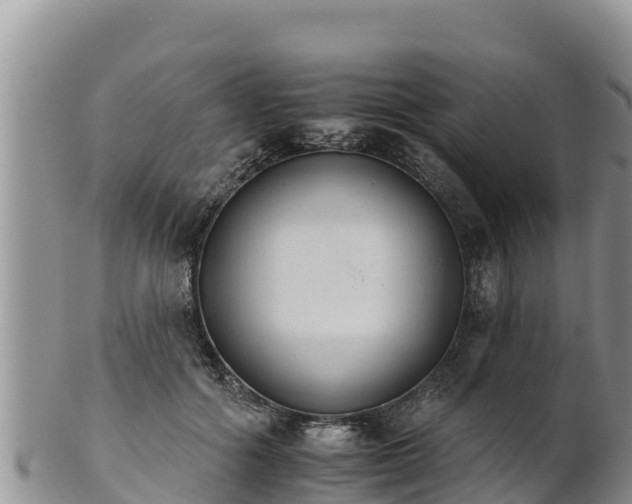 X0000102240602200808011250