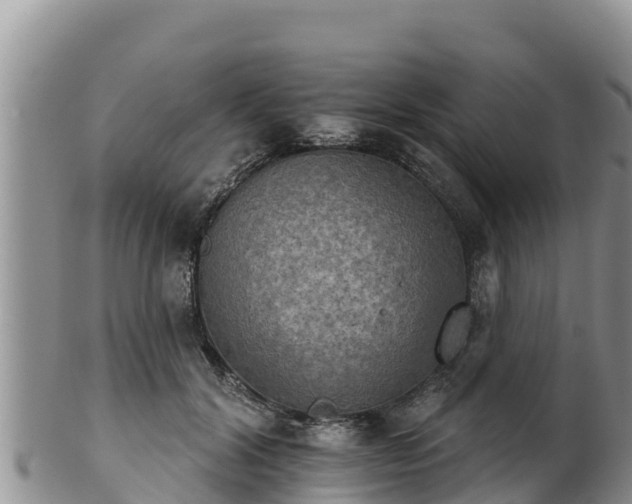 X0000102240604200808011250