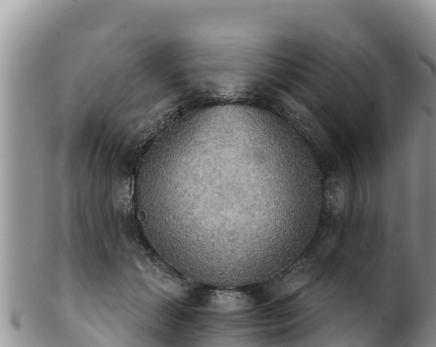 X0000102240605200808011250