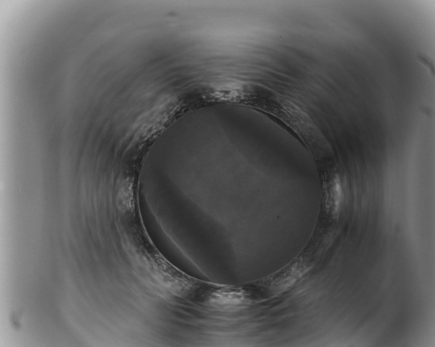 X0000102240606200808011250