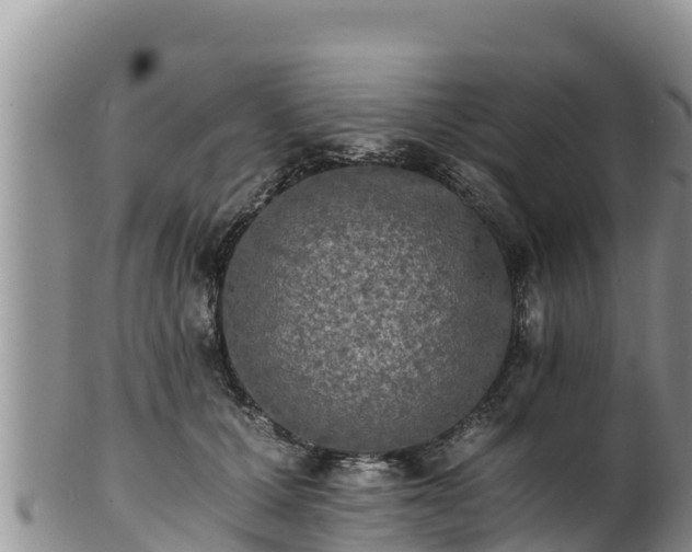 X0000102240607200808011250