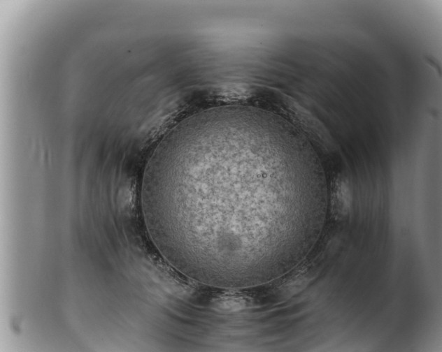 X0000102240608200808011250