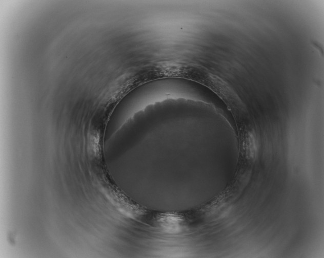 X0000102240610200808011249