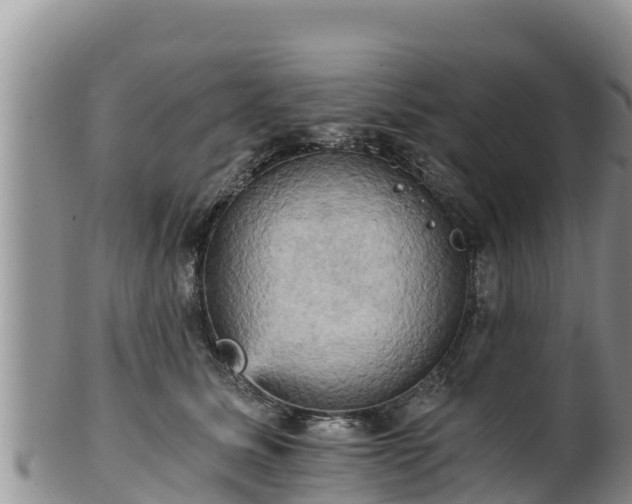 X0000102240611200808011249