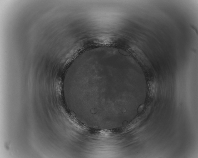 X0000102240612200808011249