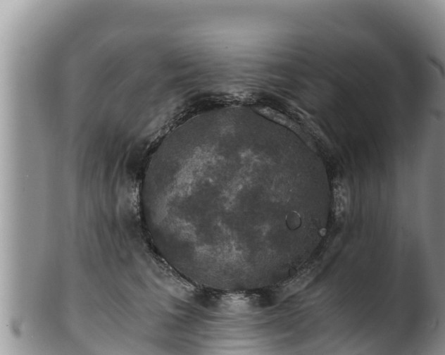 X0000102240613200808011249