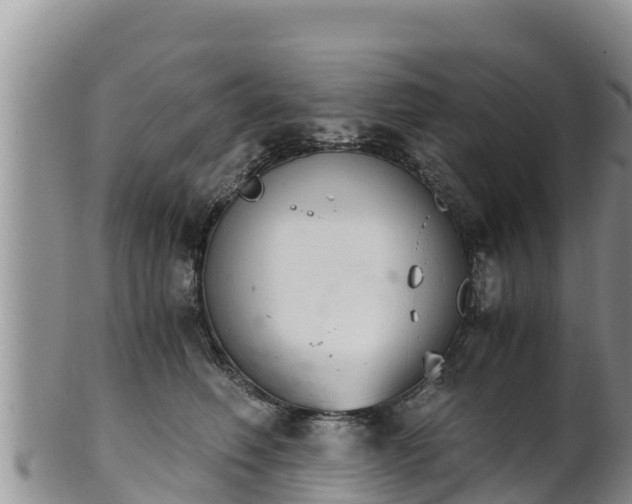 X0000102240614200808011249