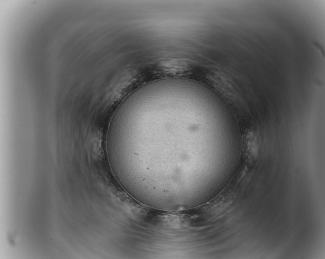 X0000102240615200808011249