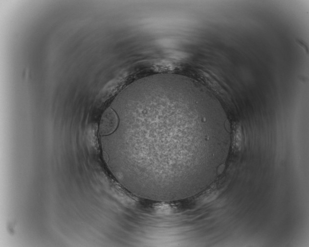 X0000102240616200808011249