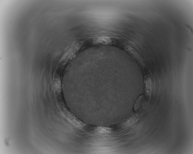 X0000102240617200808011249